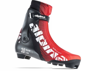 {{productViewItem.photos[photoViewList.activeNavIndex].Alt || productViewItem.photos[photoViewList.activeNavIndex].Description || 'Ботинки лыжные ALPINA ESK 3.0'}}