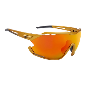 {{productViewItem.photos[photoViewList.activeNavIndex].Alt || productViewItem.photos[photoViewList.activeNavIndex].Description || 'Очки NORTHUG GOLD PERFORMANCE Gold Standart'}}