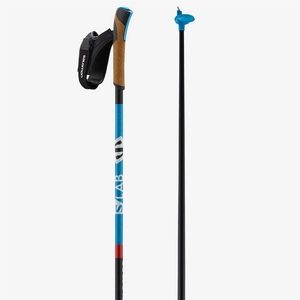 {{productViewItem.photos[photoViewList.activeNavIndex].Alt || productViewItem.photos[photoViewList.activeNavIndex].Description || 'Палки лыжные SALOMON S/LAB CARBON Click'}}