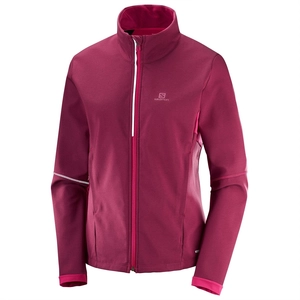 {{productViewItem.photos[photoViewList.activeNavIndex].Alt || productViewItem.photos[photoViewList.activeNavIndex].Description || 'Джемпер SALOMON AGILE Softshell W Raspbery'}}