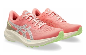 Кроссовки ASICS GT-1000 13 TR Women 1012B828-700
