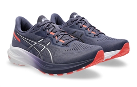 Кроссовки ASICS GT-1000 13 Women 1012B663-500