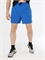 Шорты MOAX Sport мужские синии 264661-72107