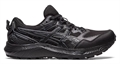 Кроссовки ASICS GEL-SONOMA 7 G-TX Women Black 1012B414-002