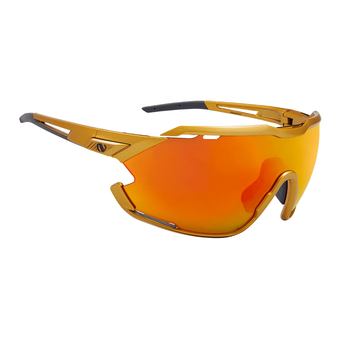 Очки NORTHUG GOLD PERFORMANCE Gold Standart PN05031-902-1