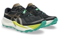 Кроссовки ASICS TRABUCO 14 Brown/Turquoise/Black 1011C166-001