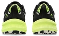 Кроссовки ASICS TRABUCO TERRA 2 Black/Light green 1011B607-003
