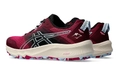 Кроссовки ASICS TRABUCO TERRA 2 женские Blackberry/Light Blue 1012B427-500